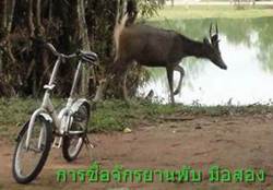 ซื้อจักรยานพับมือสองต้องรู้อะไรบ้าง